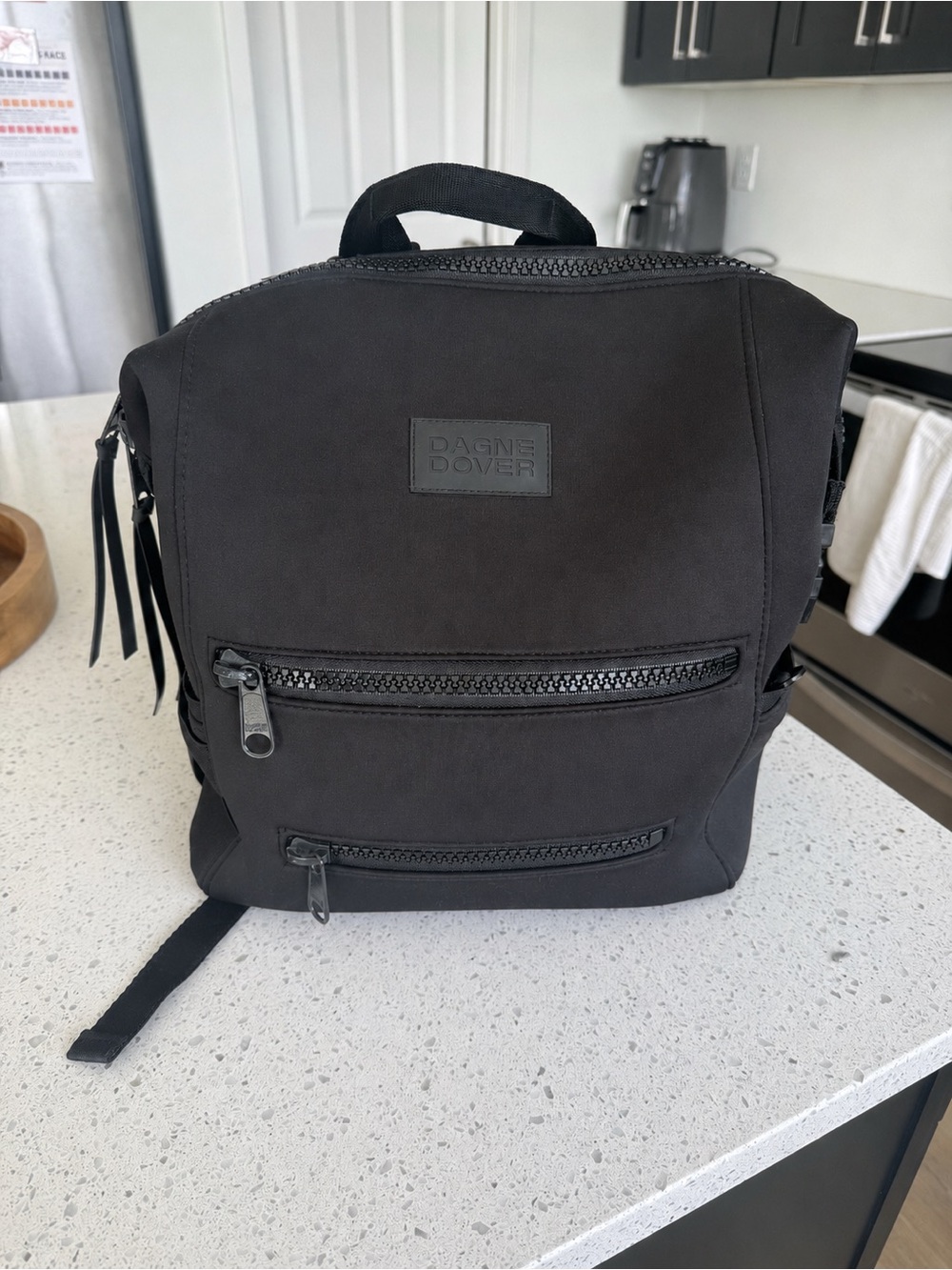 Dagne Dover Medium Indi Diaper Backpack